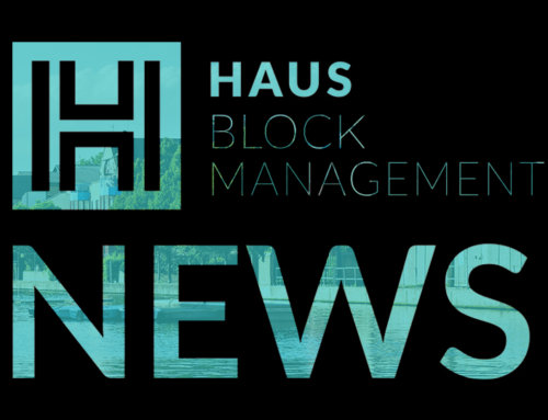 HAUS News: New Talent